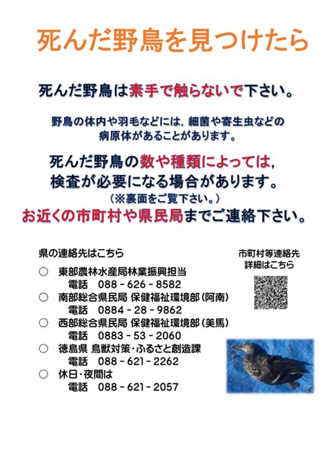 鳥死|野鳥が死んでいるのを見つけたら・野鳥との接し方について